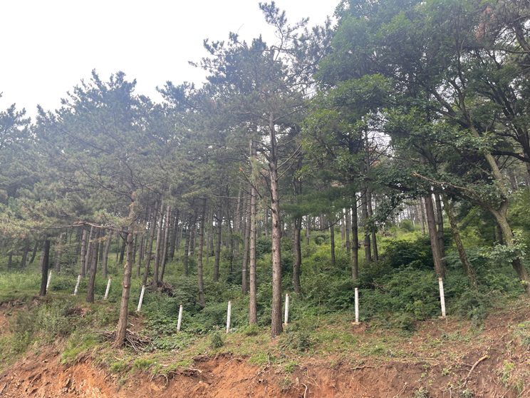 从 “30 分钟急救圈” 到乡村服务站 金融保险助力社会治理提质增效 从 “30 分钟急救圈” 到乡村服务站 金融保险助力社会治理提质增效