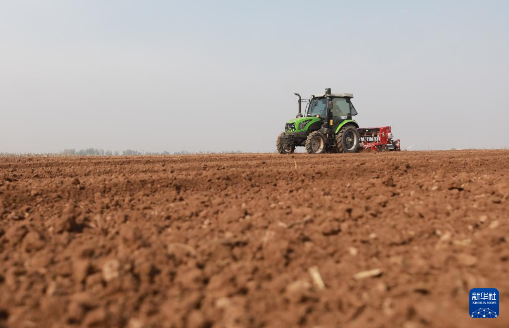 全国冬小麦播种近七成