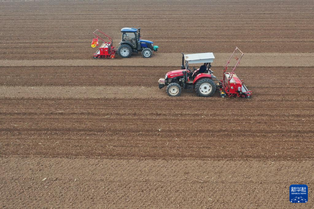 全国冬小麦播种近七成