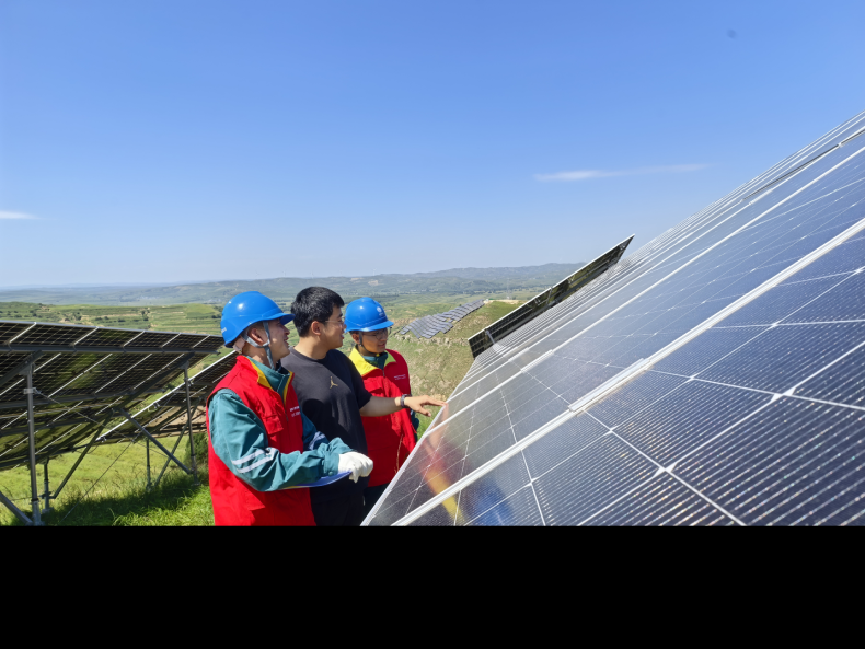 山西神池：绿电助农 铺就神池生态富民路