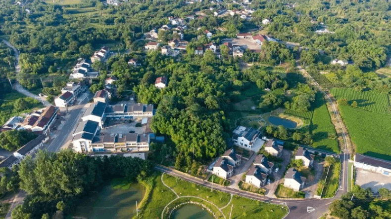 江苏宜兴：“绿美村庄”描绘乡村振兴新画卷