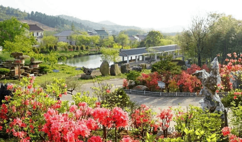 江苏宜兴：“绿美村庄”描绘乡村振兴新画卷